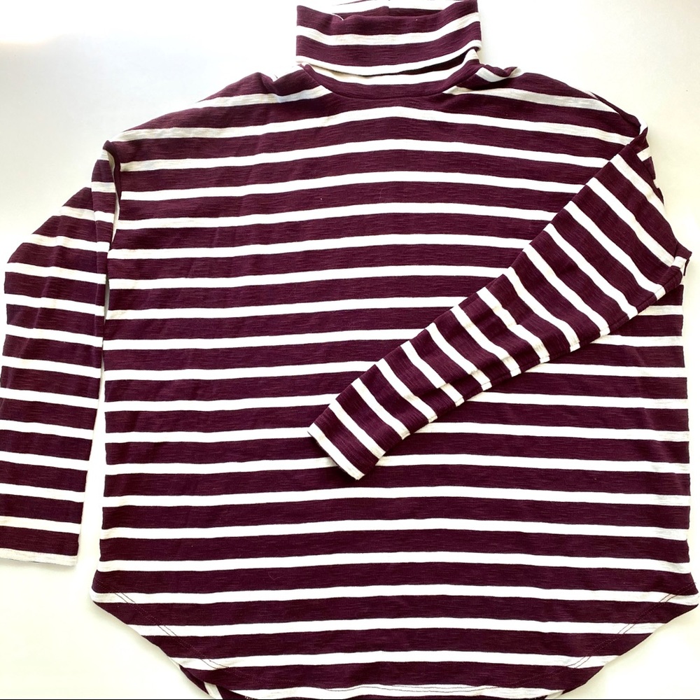 American Eagle Striped Turtleneck
